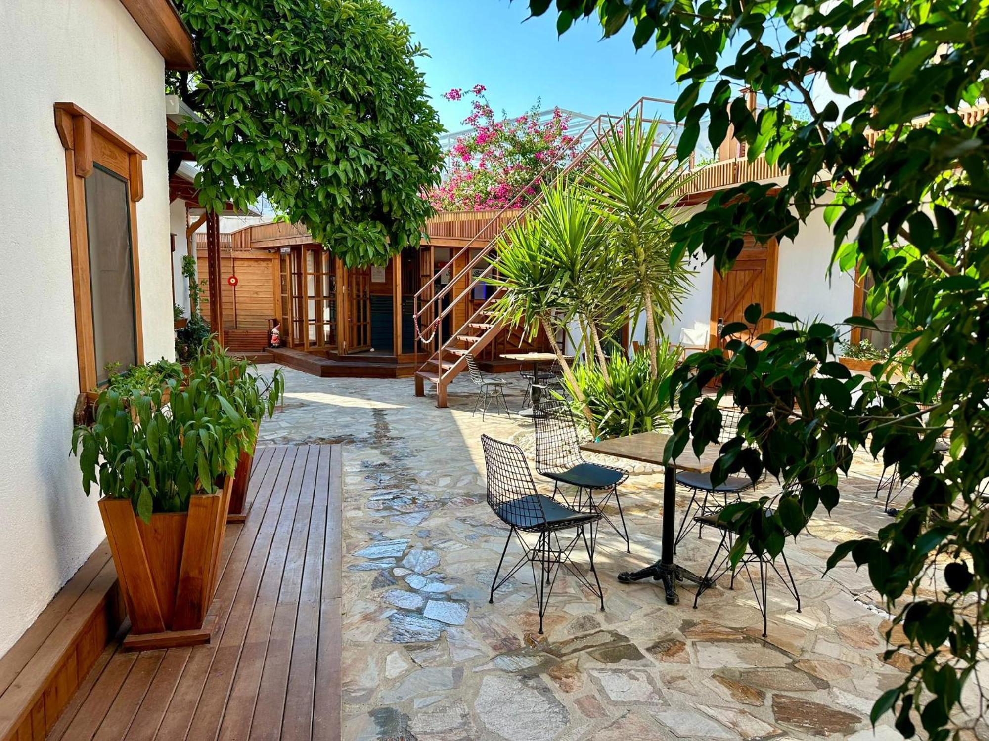 Bodrum Konagi المظهر الخارجي الصورة